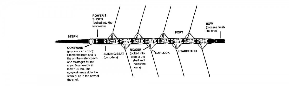 rowing glossary