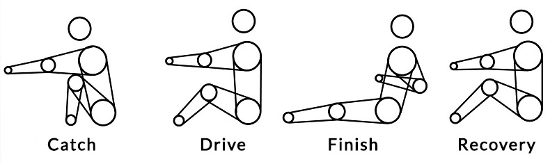 Rowing Stroke Components