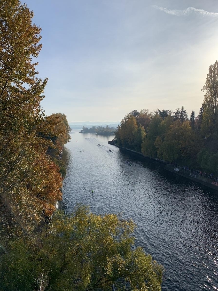 40th Annual Head of the Lake