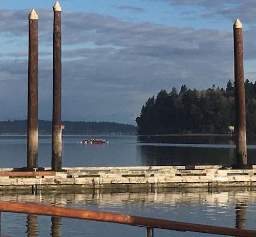 Salt Watta Regatta 2018